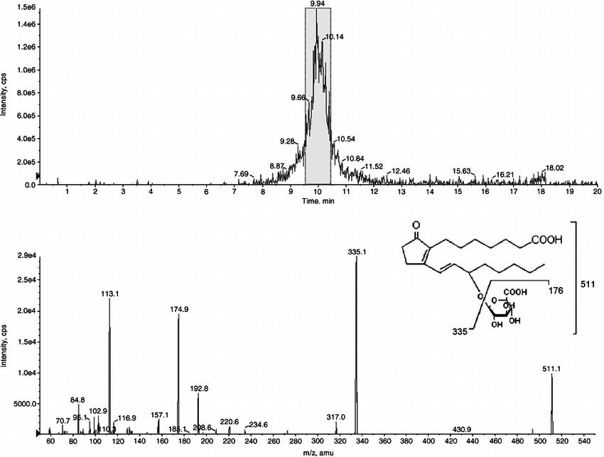 LC-MS/MS analysis of the PGB 1 glucuronide biosynthesized by HL microsomes.