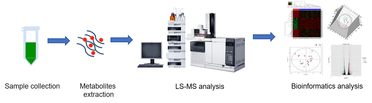 The overall workflow of glycolysis metabolism service