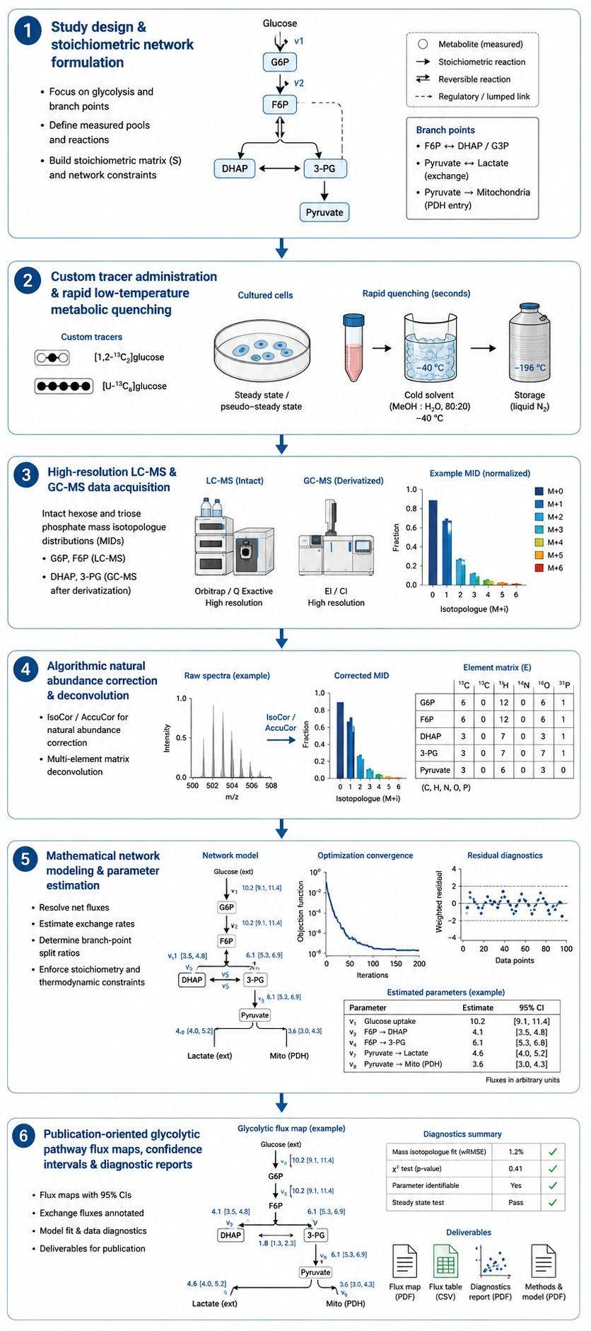 Six-step workflow for glycolytic pathway metabolic flux analysis