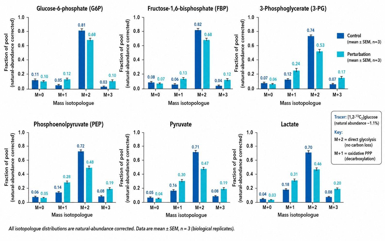 Glycolytic mass isotopologue distribution bar plot with M+1 vs M+2 split