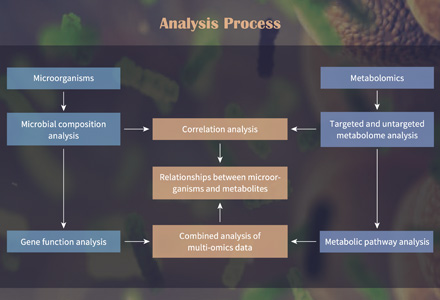 Microbiome and Metabolome Research Solutions
