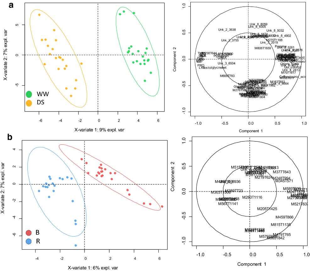 Metabolomic characterization of sunflower leaf allows discriminating genotype groups or stress levels with a minimal set of metabolic markers