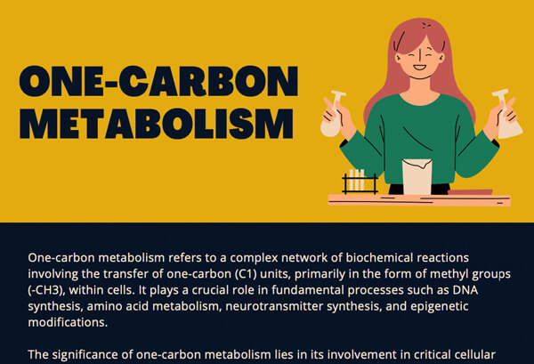 One-Carbon Metabolism Analysis