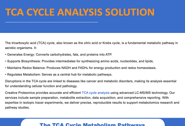 TCA Cycle Analysis Solution