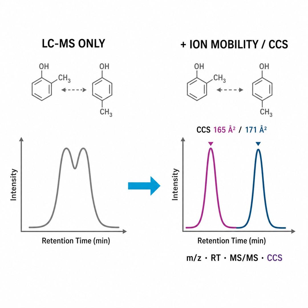 Ion mobility LC-MS metabolomics with CCS separation