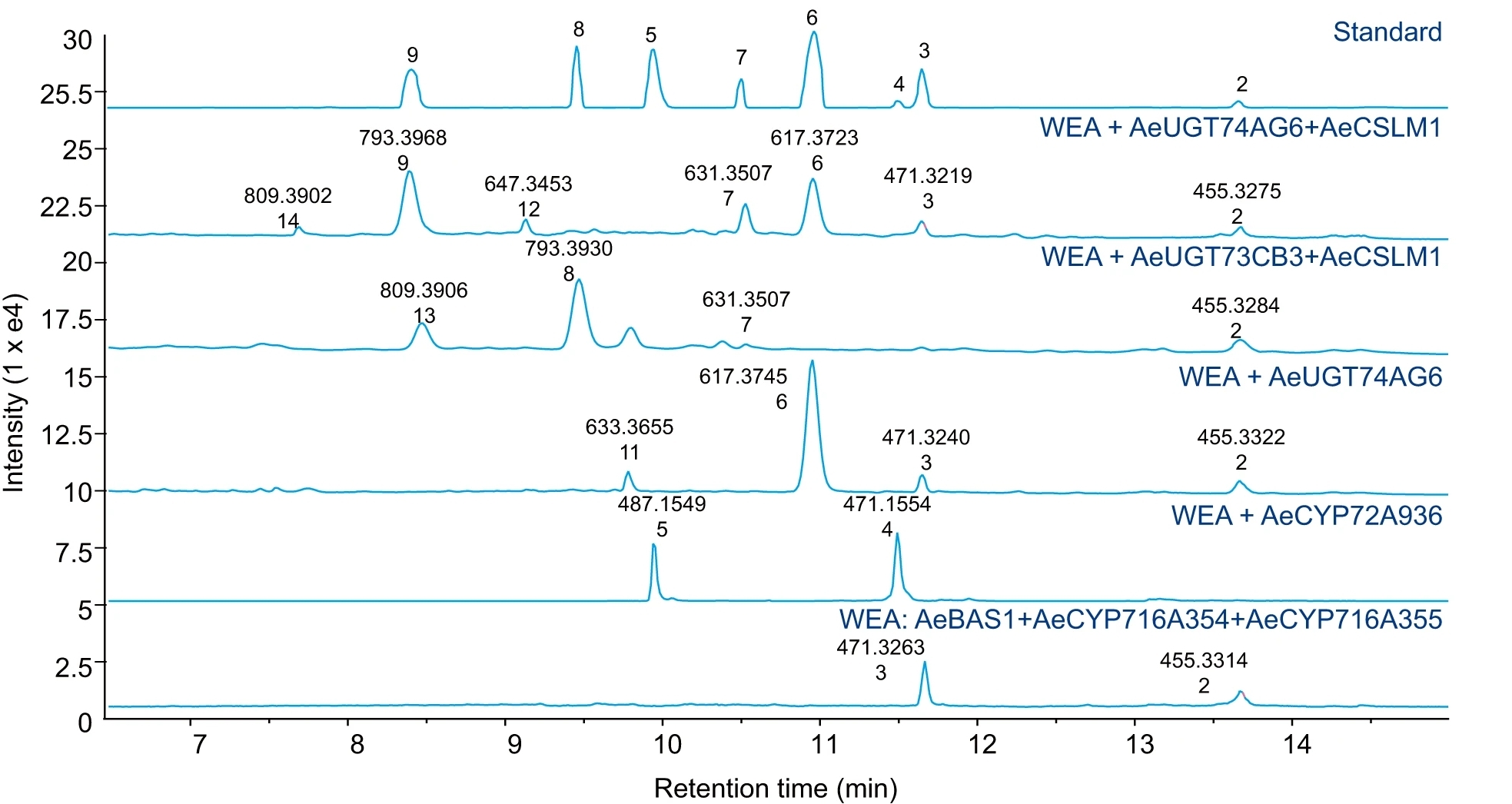 LC–MS analysis of metabolites from strains engineered for pentacyclic triterpene saponin production derived from β-amyrin and oleanolic acid