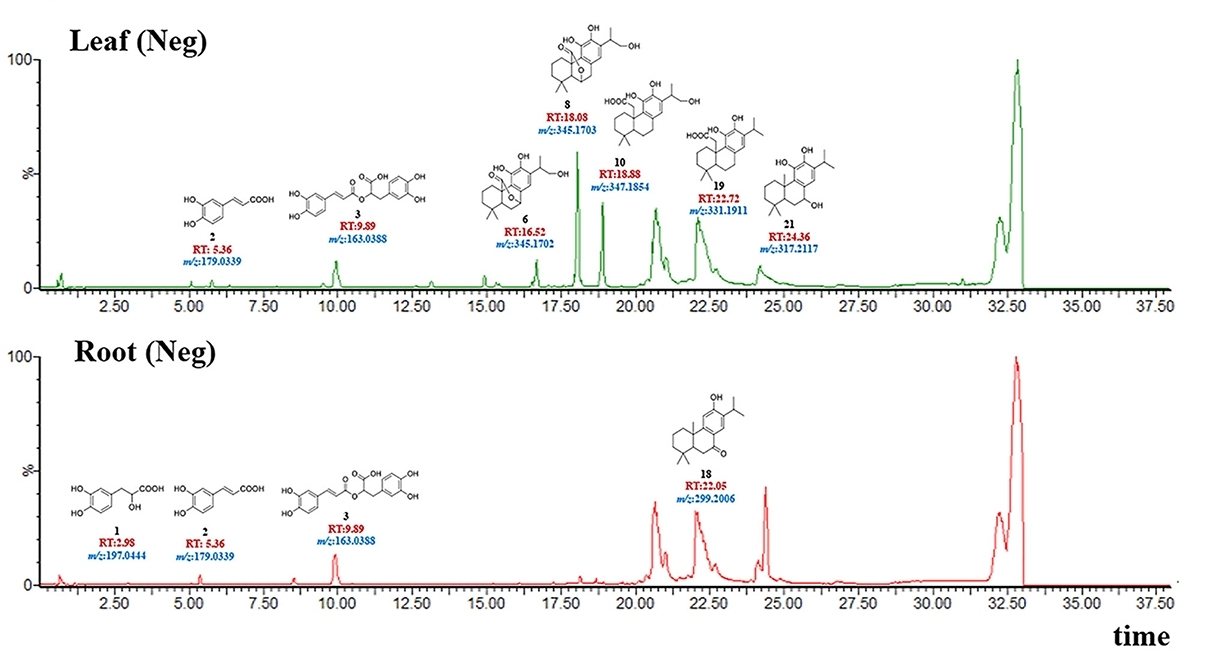 Total ion current (TIC) chromatograms of leaves and roots in the negative-ion modes annotated with identified metabolites (1, 2, 3, 6, 8, 10, 18, 19 and 21), including corresponding structure, retention time (RT), and mass to charge ratio (m/z)