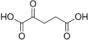 Molecular structure of α-ketoglutaric acid