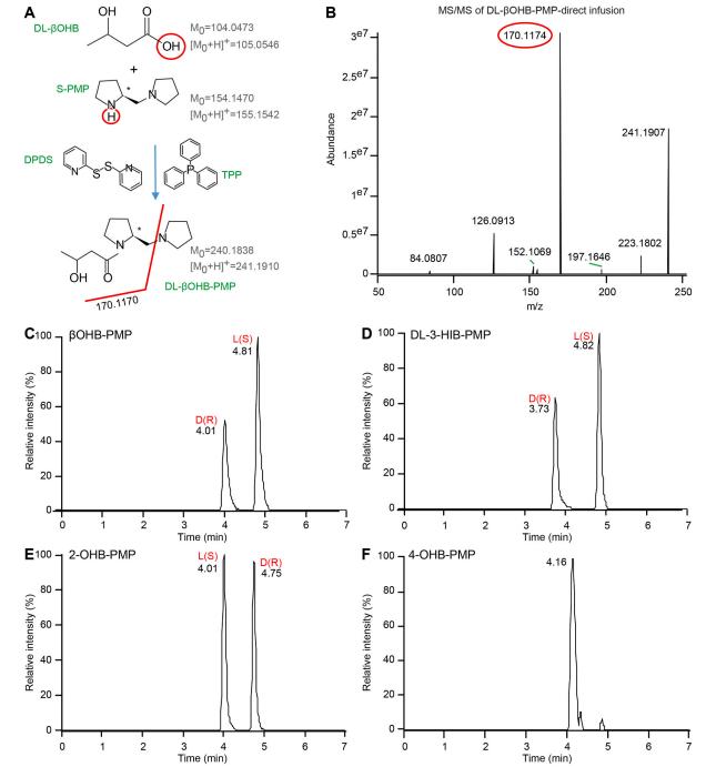 MS/MS spectra and UPLC chromatograms showing the separation and identification of D- and L-β-Hydroxybutyrate (βOHB) enantiomers along with their structural isomers 2-Hydroxybutyrate (2-OHB), 3-Hydroxyisobutyrate (3-HIB), and 4-Hydroxybutyrate (4-OHB) in serum and tissue extracts.