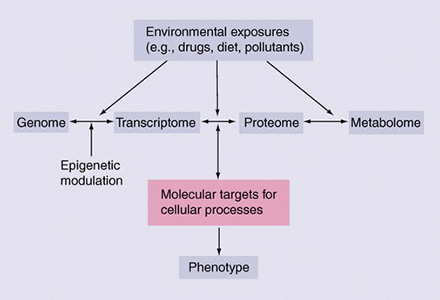 Application of Cellular Metabolomics