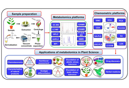 Application of Metabolomics in Plant Research