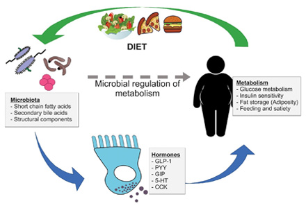 Application of Microbial Metabolomics