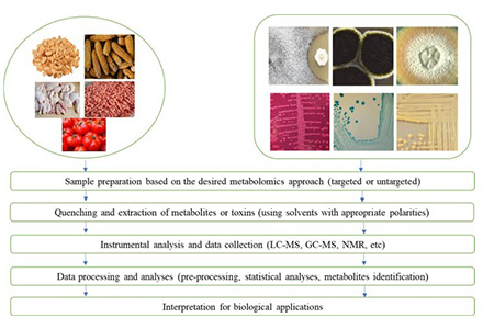 knowledge-metabolomic-approaches-for-microbial-research.jpg
