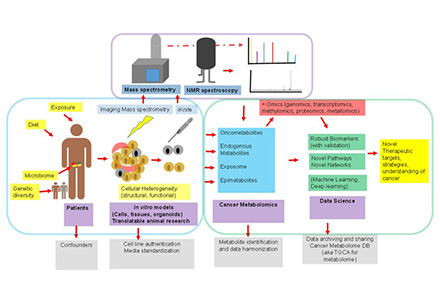 Metabolomics and Tumor Research