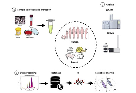 Metabolomics and Veterinary and Animal Health