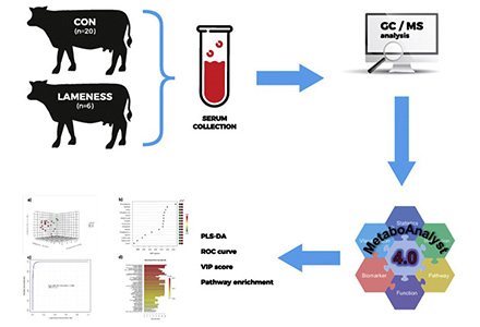 Metabolomics in the Livestock and Poultry