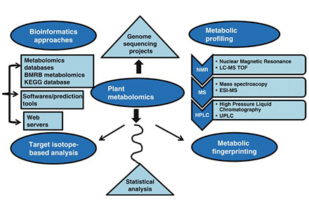 knowledge-plant-metabolomics-technologies.jpg