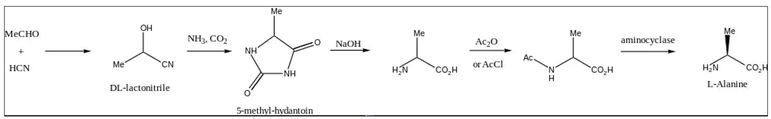 Synthesis of L-alanine