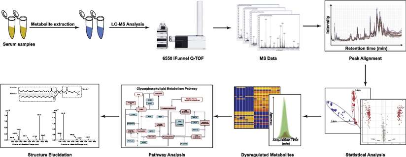 LC–MS-based serum metabolomic analysis