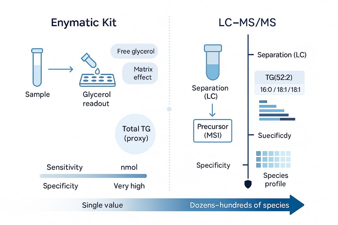 Side-by-side schematic showing enzymatic kit workflow versus LC–MS/MS workflow for triglyceride analysis, highlighting differences in specificity, sensitivity, and data depth.