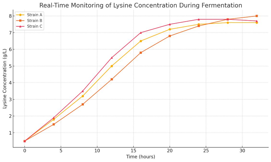 Line chart showing real-time lysine concentration (g/L) during fermentation over 32 hours for three microbial strains (A, B, and C), illustrating differences in production efficiency and accumulation trends.