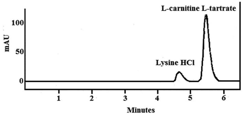 lysine-quantification-methods-biotech-research-1.jpg