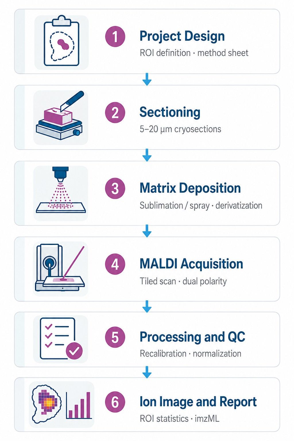 MALDI-MSI spatial metabolomics workflow from tissue sectioning to ion image delivery