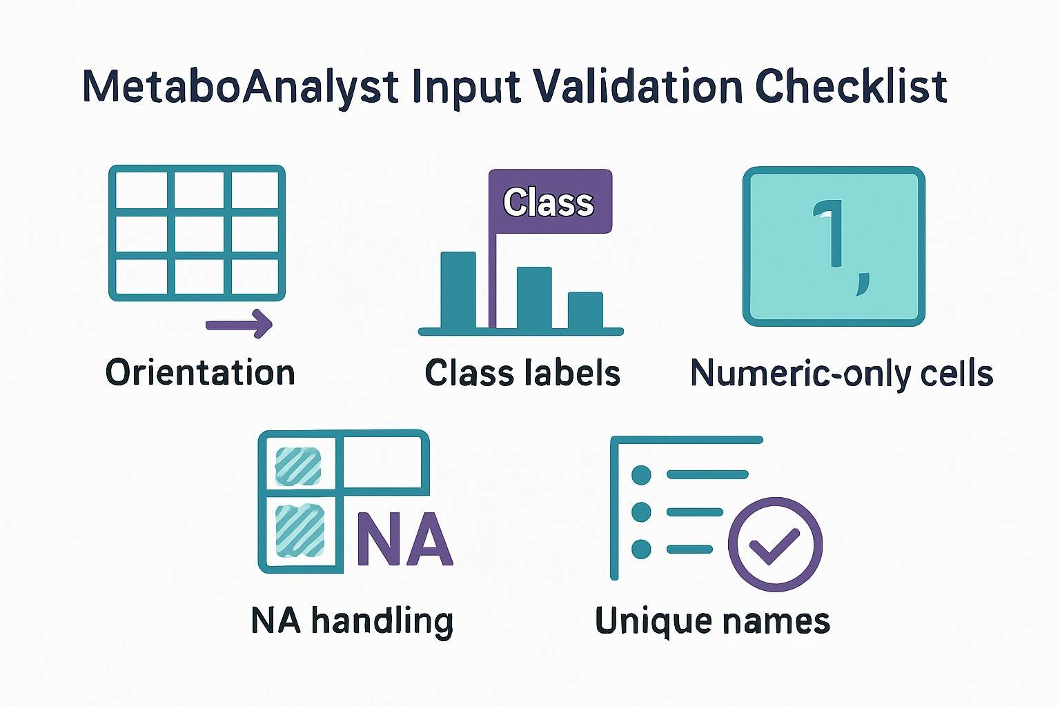 A troubleshooting infographic showing a visual checklist for MetaboAnalyst input validation: sample orientation, class labels, numeric-only cells, NA handling, and unique names