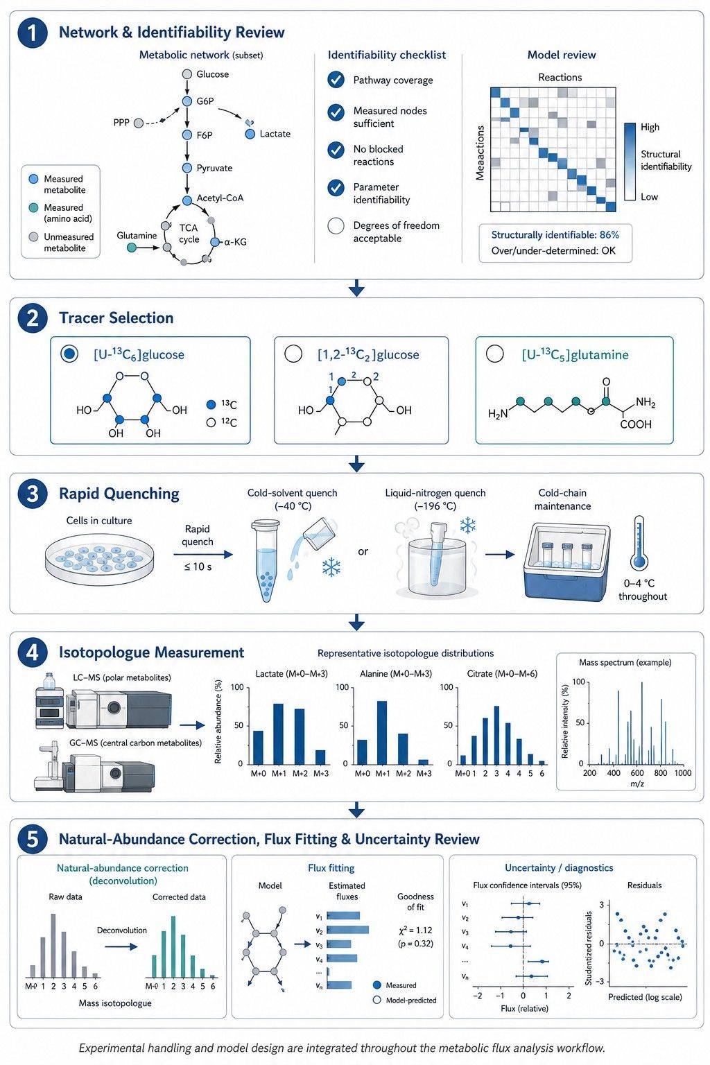 Metabolic flux analysis service workflow