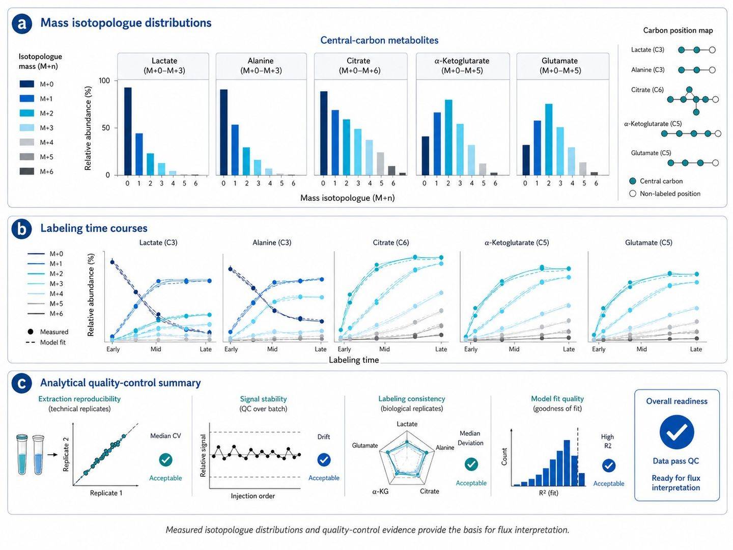 Mass isotopologue distribution plots and quality-control readouts for metabolic flux analysis