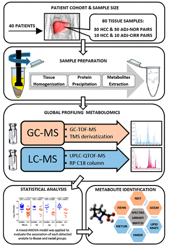 Metabolomic analysis of liver tissues for characterization of hepatocellular carcinoma