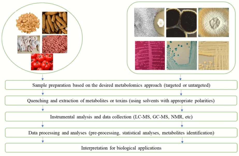 Metabolomic Approaches for Microbial Research