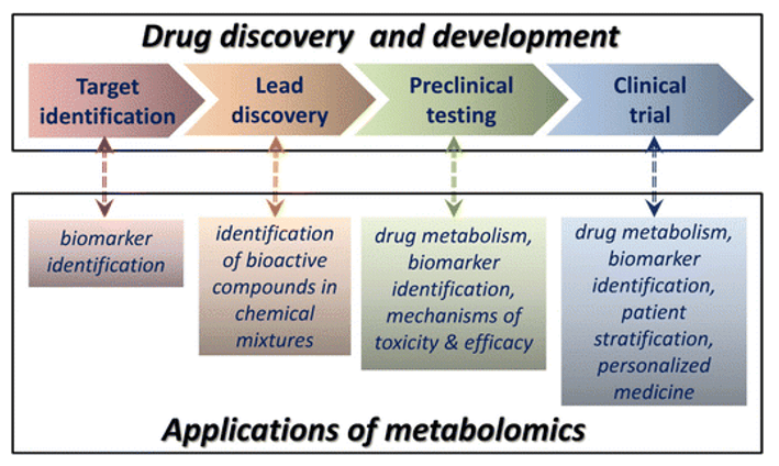 Metabolomics for Drug Development