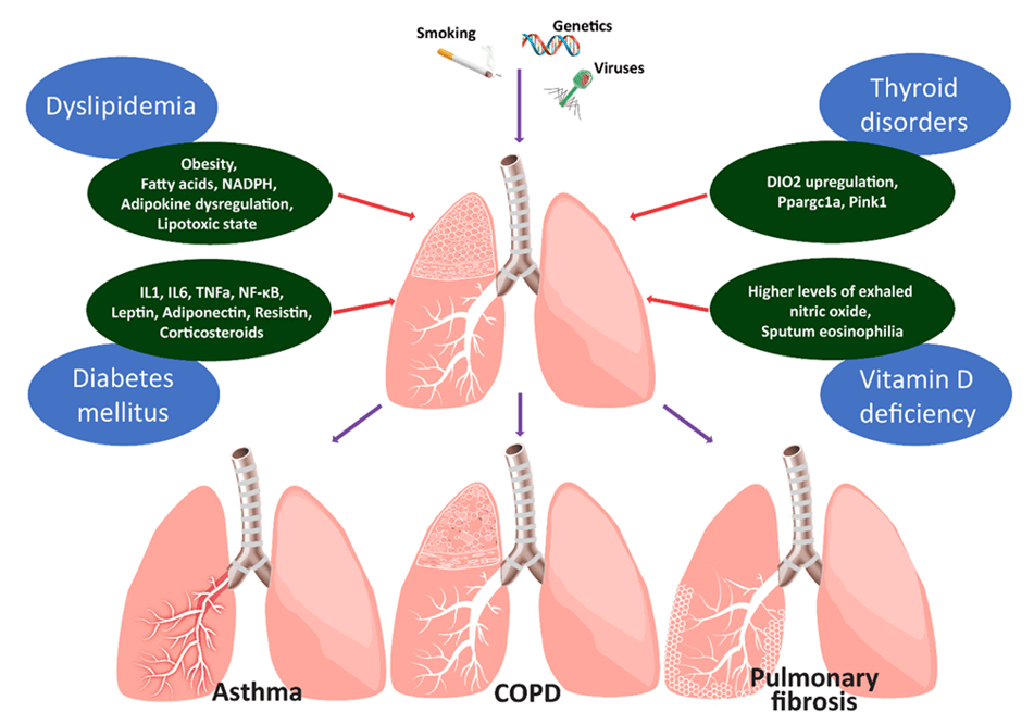 Figure depicts the main metabolic comorbidities of chronic lung diseases