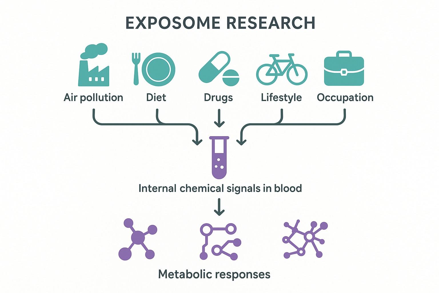 Infographic — exposome research overview with metabolomics bridging exposure and biological effect