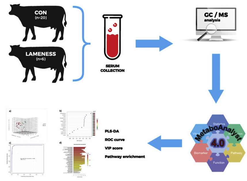 Serum metabolic fingerprinting of pre-lameness dairy cows