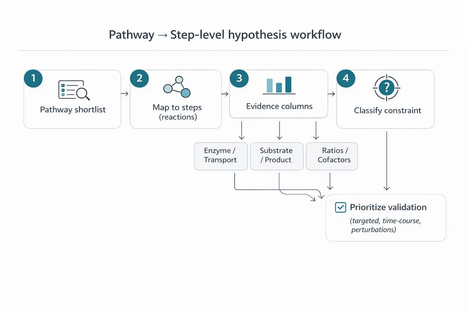 From pathway signal to step-level hypothesis: flowchart showing pathway shortlist to step mapping to evidence classification.