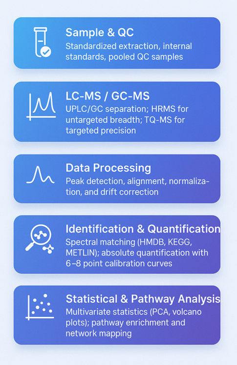 Metabolomics Workflow