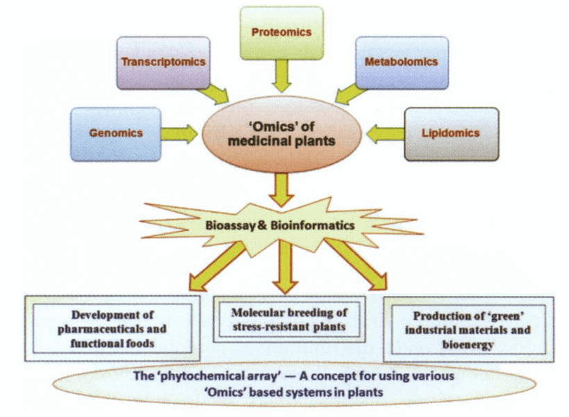 Various phytochemical techniques used in the field of medicinal plant research