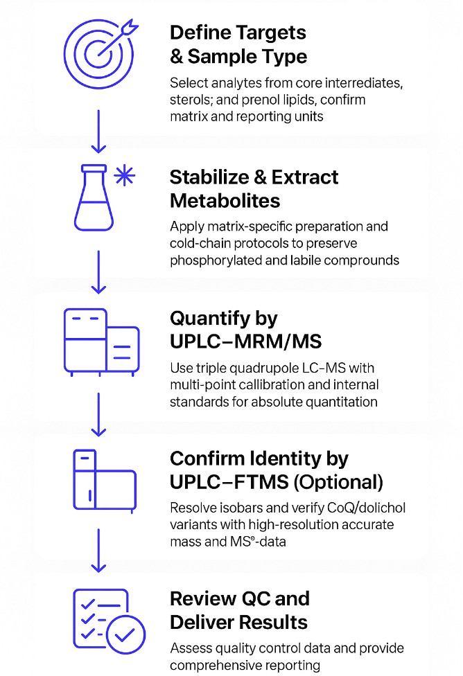 Mevalonate Pathway Analysis Workflow