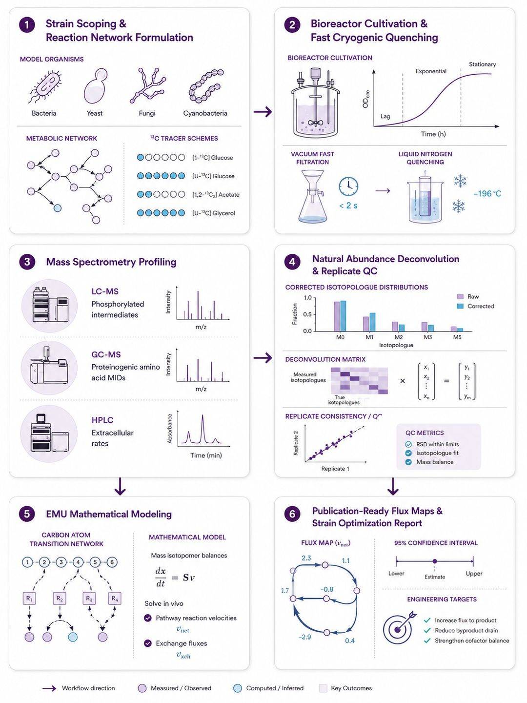 Six-step workflow for microbial metabolic flux analysis