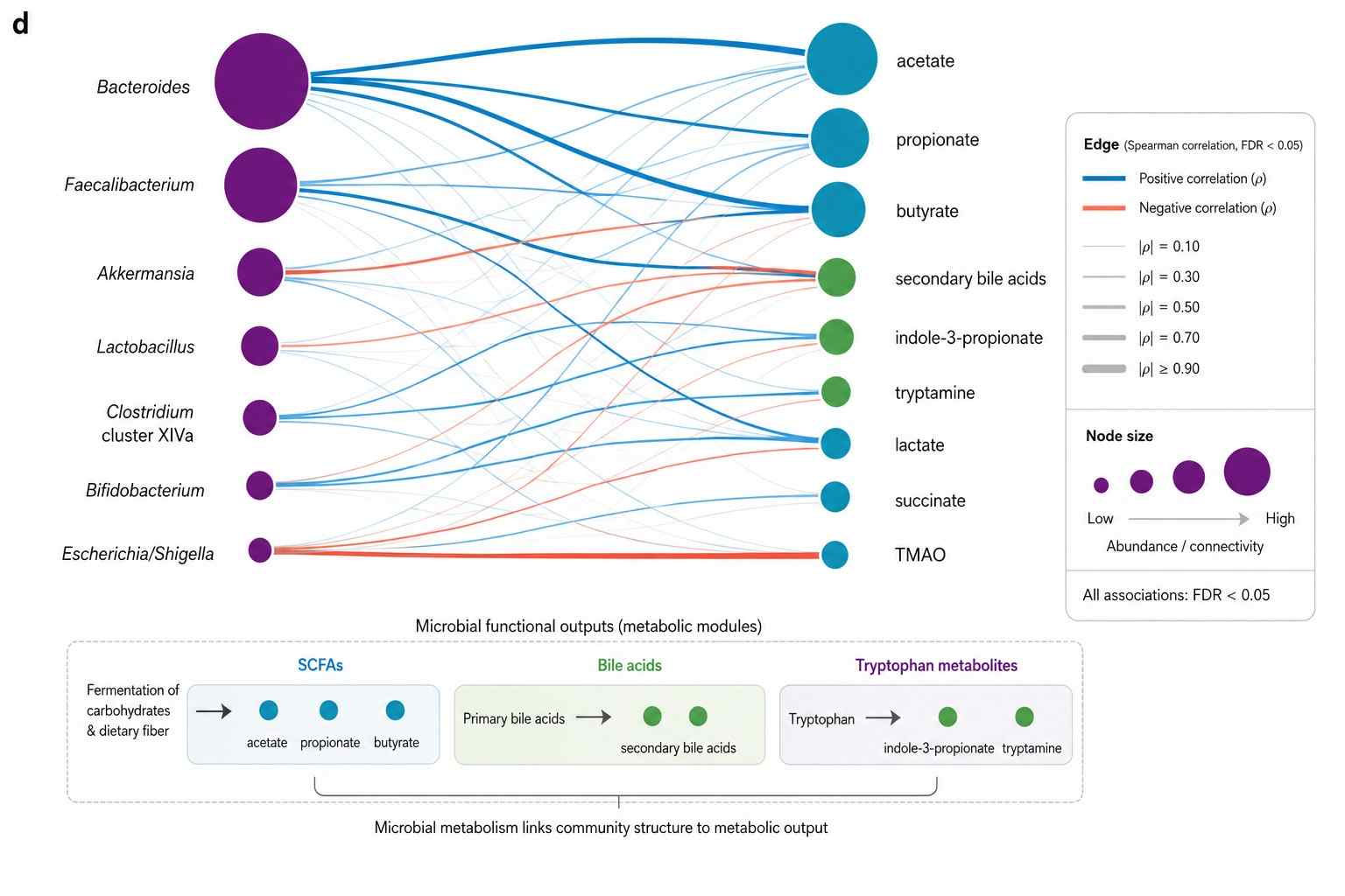 Microbe-Metabolite Correlation Network — Multi-Omics Integration of Metabolomics with 16S rRNA Sequencing