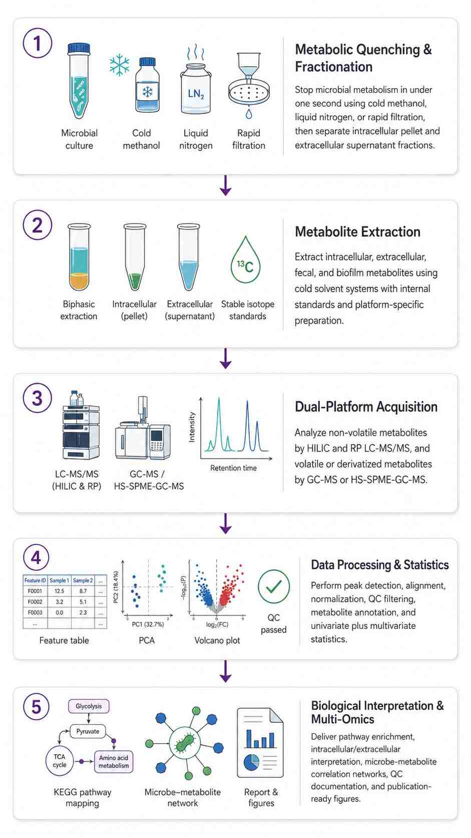 Microbial Metabolomics Workflow — From Quenching to Multi-Omics Biological Insight