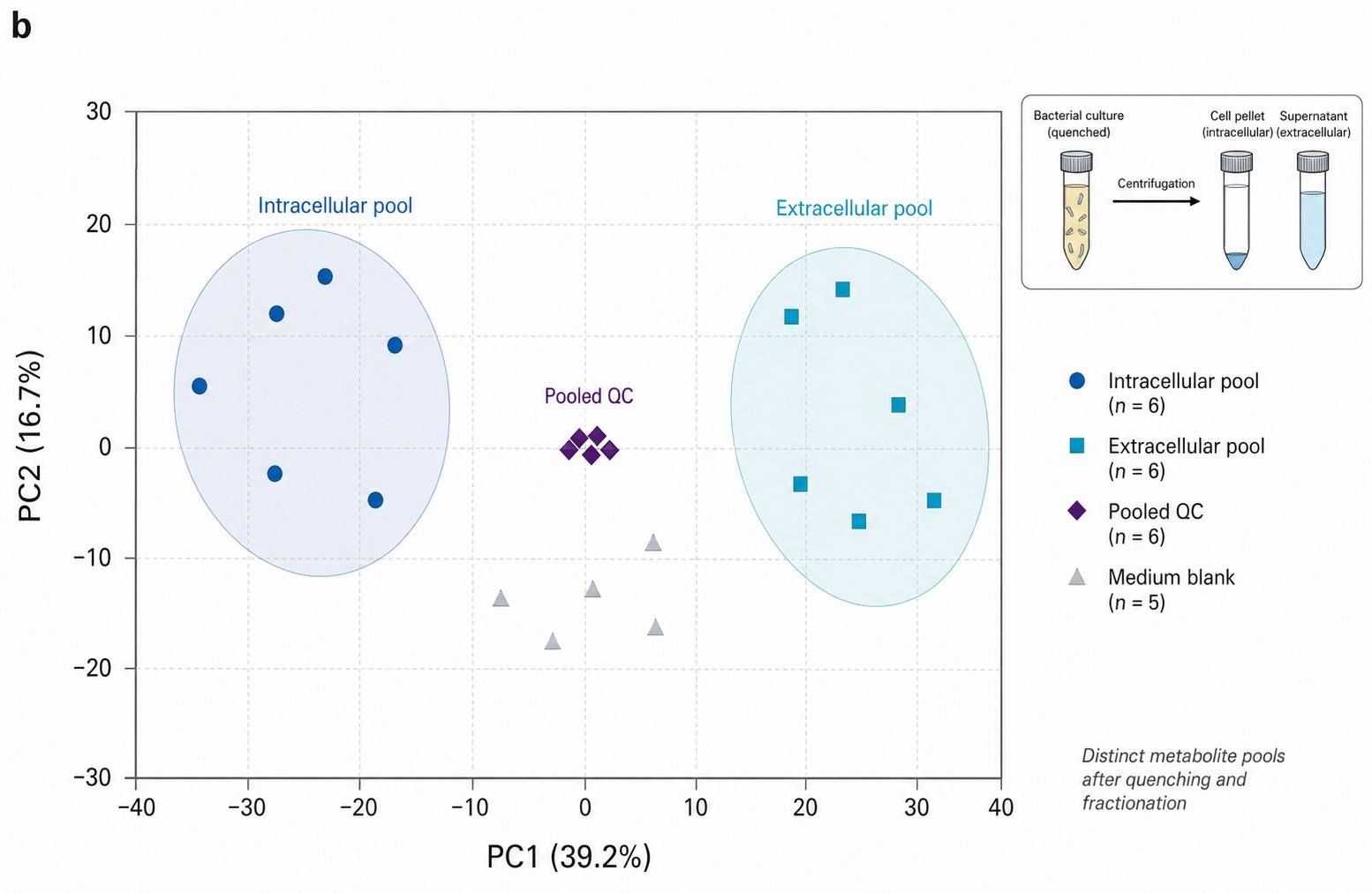 Microbial Metabolomics PCA Scores Plot — Intracellular vs Extracellular Metabolite Pool Separation