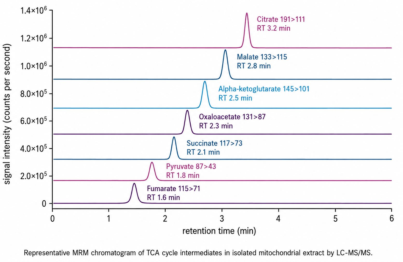 MRM chromatogram showing TCA cycle intermediates including citrate, alpha-ketoglutarate, succinate, fumarate, malate, and pyruvate separated by LC-MS/MS