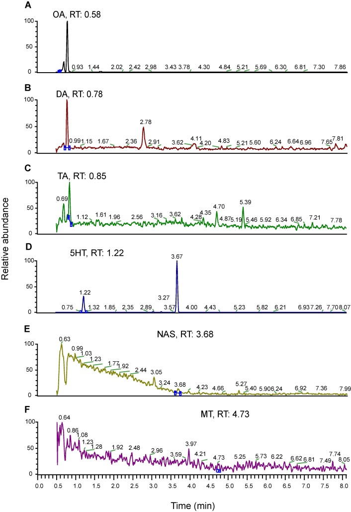 SRM chromatograms showing six monoamines—OA, DA, TA, 5-HT, NAS, and MT—detected in fly brain lysate.