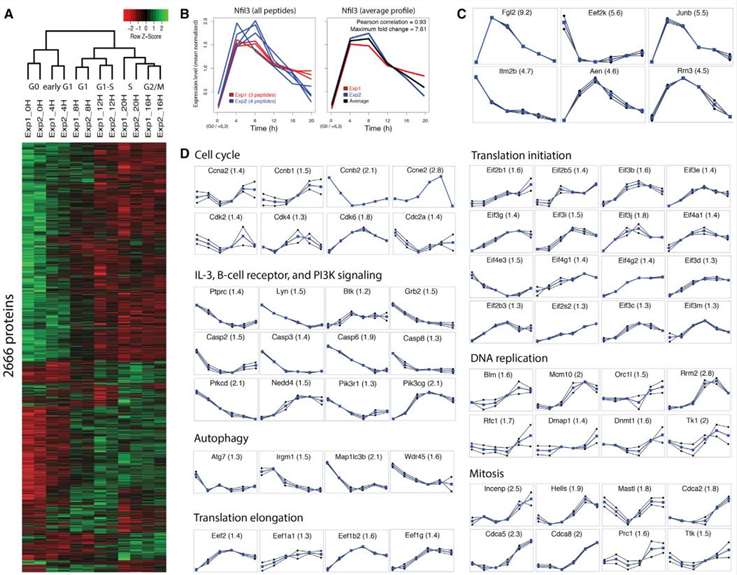 Proteomics Data of Temporal Expression and Highly Confident Individual Proteins