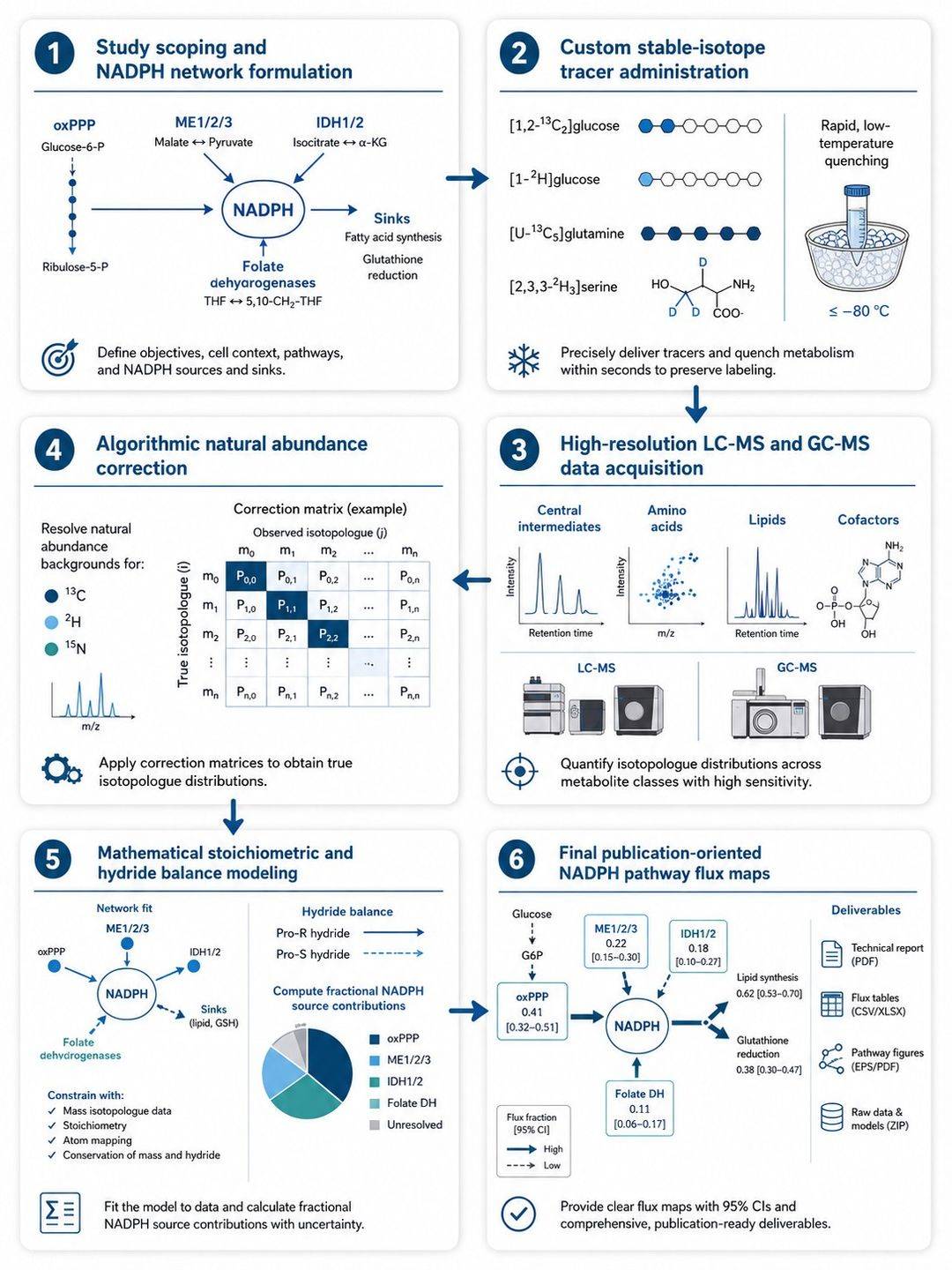 Six-step workflow for NADPH metabolic flux analysis