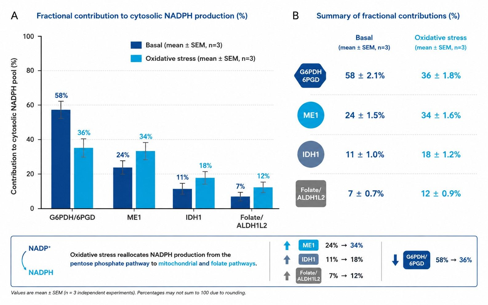 NADPH generation fractional contribution bar plot across oxPPP, ME1, IDH1, and folate pathways