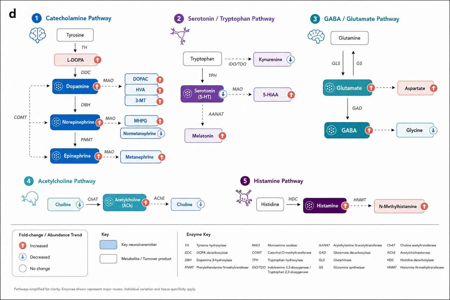 Neurotransmitter Pathway Map — Catecholamine and Serotonin Biosynthesis and Metabolism with Fold-Change Node Coloring